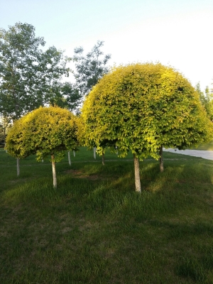 赤峰市永業(yè)廣場(chǎng)大廈電話號(hào)碼-第1張圖片