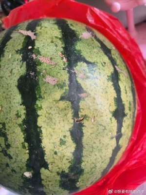 赤峰市黑臉瓜子廠電話號碼-第1張圖片