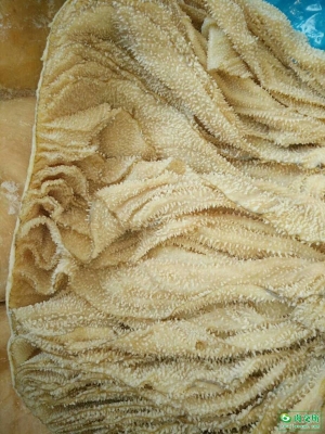 赤峰固定百葉批發(fā)電話號(hào)碼-第1張圖片