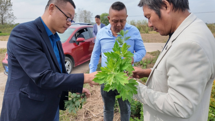 赤峰艾迪美發(fā)電話號(hào)碼多少號(hào)-第1張圖片