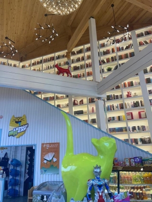 赤峰找貓主人電話地址是多少號(hào)-第1張圖片