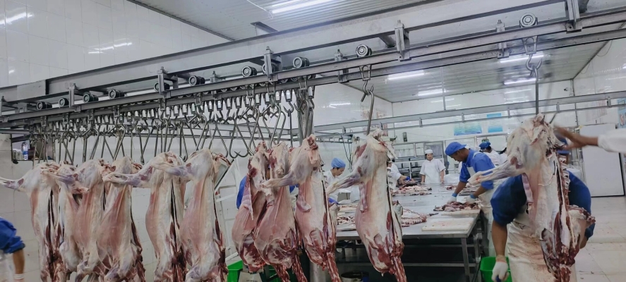 赤峰小型屠宰場(chǎng)電話多少號(hào)-第1張圖片