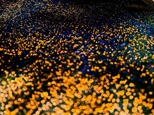 赤峰星辰售電公司電話號(hào)碼查詢-第1張圖片