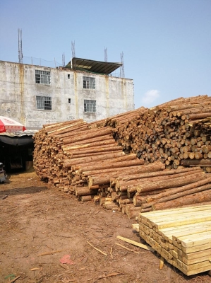 赤峰松木加工廠家電話號(hào)碼-第1張圖片