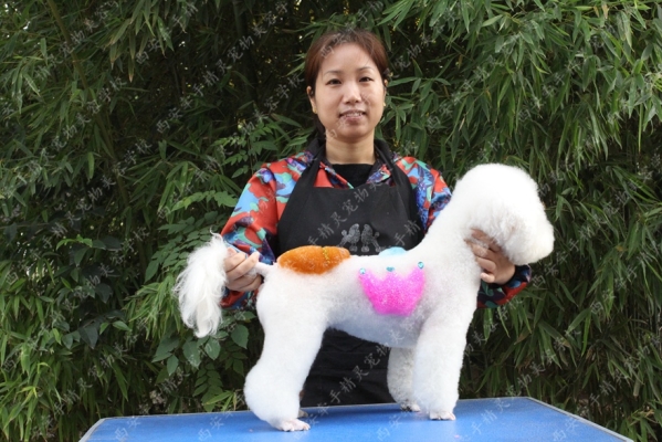 赤峰市寵物美容館電話地址查詢-第1張圖片