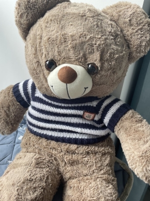 赤峰玩具熊實體店電話地址查詢-第1張圖片