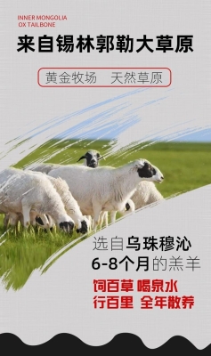 赤峰市賣新鮮羊蝎子電話號碼-第1張圖片