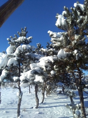 赤峰寧城縣艷子酒店電話號(hào)碼-第1張圖片