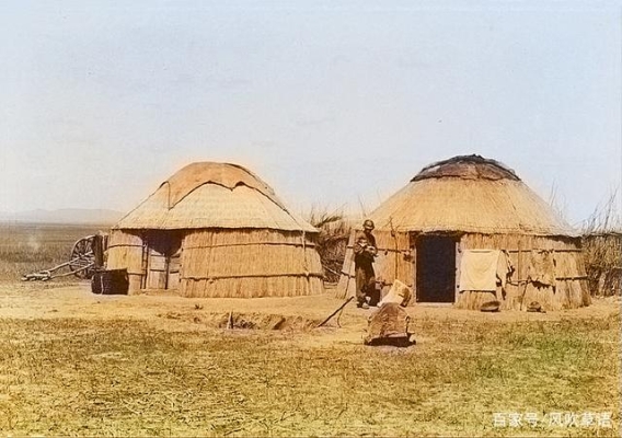 赤峰市牛糞收購電話號(hào)碼是多少-第1張圖片