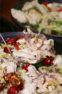 赤峰龍魚(yú)專賣店電話地址查詢-第1張圖片