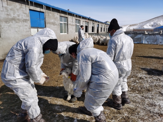 赤峰農(nóng)牧學(xué)校學(xué)院電話-第1張圖片