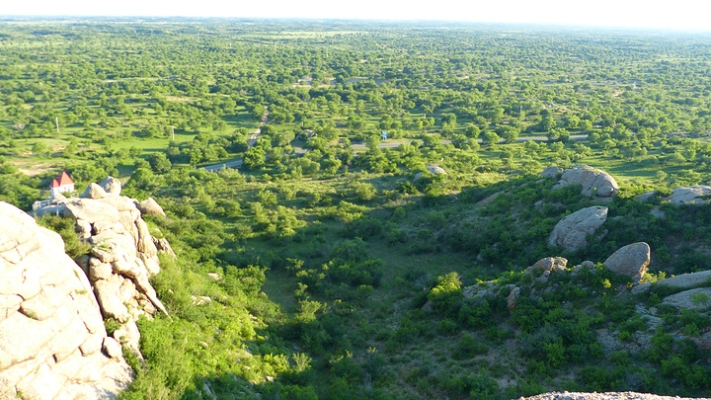 赤峰矮框球場(chǎng)電話號(hào)碼多少號(hào)-第1張圖片
