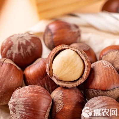 赤峰榛子干果批發(fā)電話多少號-第1張圖片