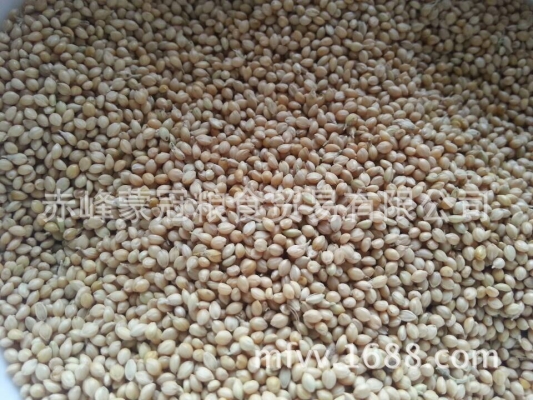 赤峰冷凍食品廠家電話地址查詢-第1張圖片