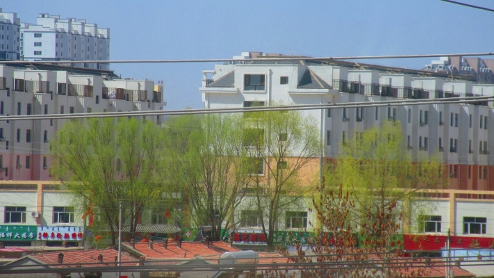 赤峰紅星路賣花的地方電話號碼-第1張圖片