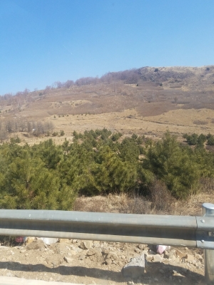 內(nèi)蒙古赤峰要債公司電話號碼-第1張圖片