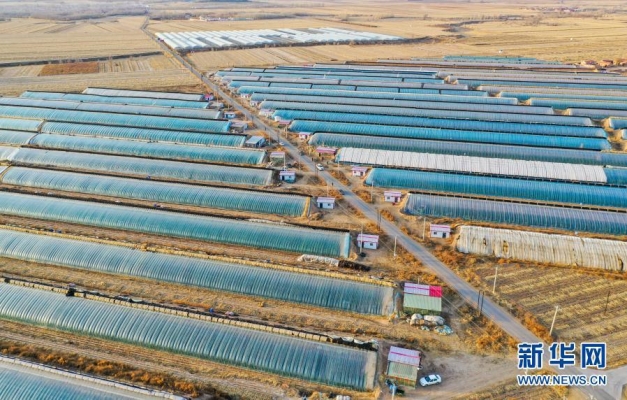 內(nèi)蒙赤峰寧城代駕電話號(hào)碼是多少-第1張圖片