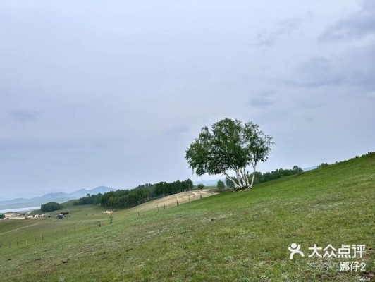 赤峰營地教育局官網(wǎng)電話號碼-第1張圖片