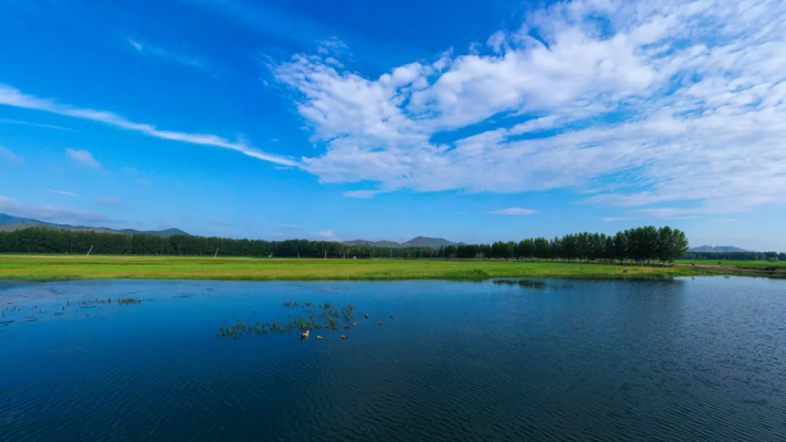赤峰東龍熱力維修電話號(hào)碼是多少-第1張圖片