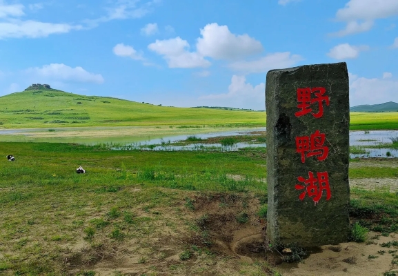 沙河到赤峰的大巴車電話號碼-第1張圖片