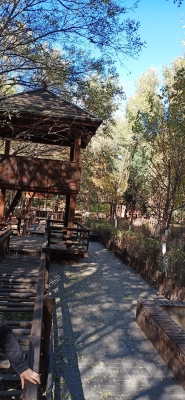 赤峰植物園浴池電話號(hào)碼查詢-第1張圖片