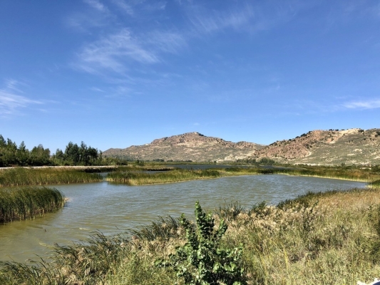 赤峰市烏丹鎮(zhèn)衛(wèi)校電話號碼-第1張圖片