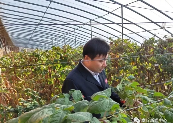 赤峰樹莓采摘基地電話號(hào)碼查詢-第1張圖片