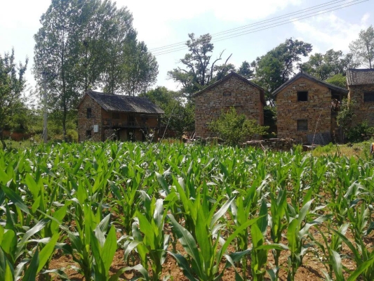 赤峰到錫盟東蘇拼車電話號碼-第1張圖片