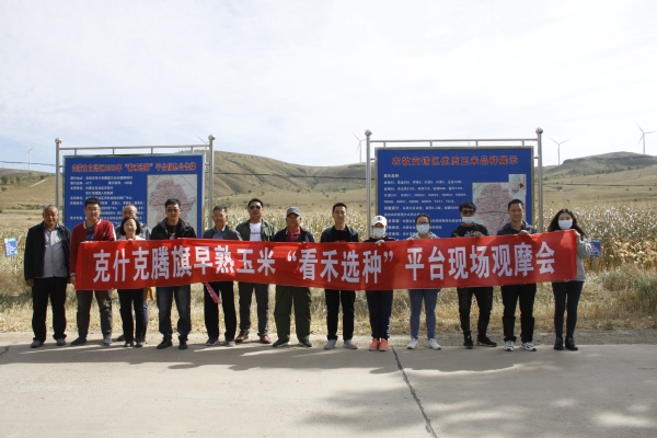 赤峰收玉米粒的地方電話號碼-第1張圖片