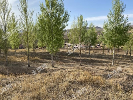 赤峰松山區(qū)匯通快遞電話-第1張圖片