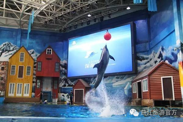 赤峰市夢幻海樂世界電話號碼-第1張圖片