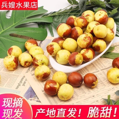 赤峰市大棗采摘電話號碼查詢-第1張圖片