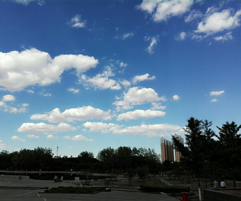 赤峰鋼鐵街潤峰大廈店電話號(hào)碼-第1張圖片