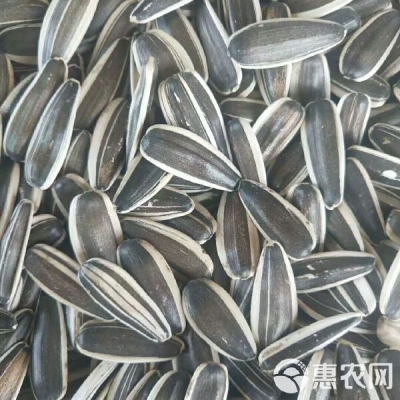 內(nèi)蒙赤峰葵花經(jīng)銷商電話號碼-第1張圖片