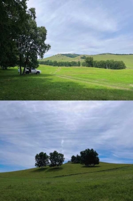 赤峰草原管理站電話號碼是多少-第1張圖片