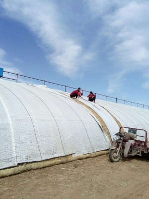 榆樹市到赤峰物流電話號(hào)碼-第1張圖片