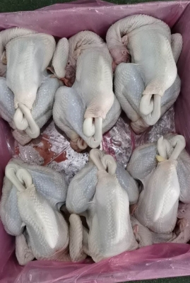 赤峰紅鯉魚批發(fā)電話號(hào)碼查詢-第1張圖片