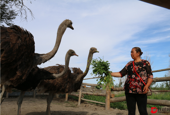 赤峰旱冰場團購群電話號碼-第1張圖片