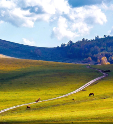 赤峰e(cuò)代駕電話是多少-第1張圖片