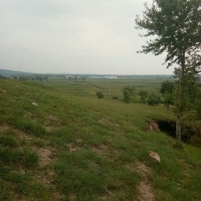 赤峰乃林足療店電話地址查詢-第1張圖片