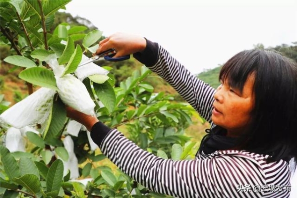 赤峰鐵南果益農(nóng)藥店電話號(hào)碼-第1張圖片