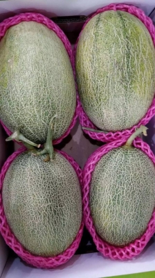 赤峰佳果樂水果批發(fā)電話號(hào)碼-第1張圖片