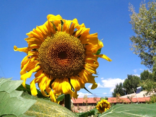 赤峰紅山區(qū)水果配送電話號碼-第1張圖片
