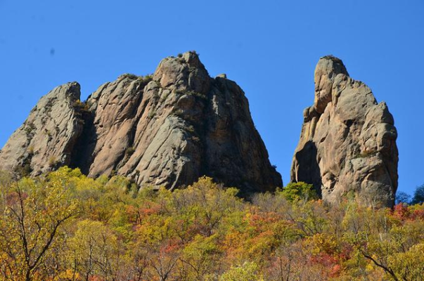 赤峰林西防護(hù)網(wǎng)電話號(hào)碼-第1張圖片