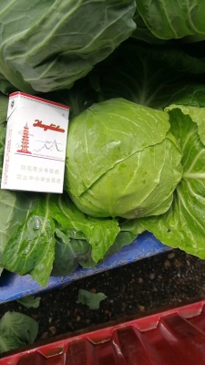 赤峰賣甘藍(lán)苗的電話號碼是多少-第1張圖片