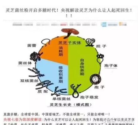 赤峰馬戲團招人電話號碼是多少-第1張圖片