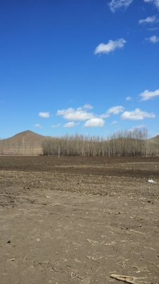 赤峰市巴林左旗花店電話號(hào)碼-第1張圖片