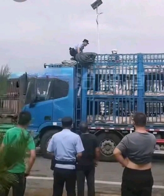 赤峰生豬加工廠電話號碼多少-第1張圖片