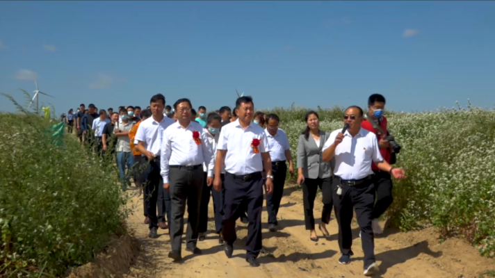 赤峰收蕎麥皮的地方電話號(hào)碼-第1張圖片