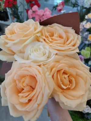 赤峰松州園花店電話號(hào)碼多少-第1張圖片